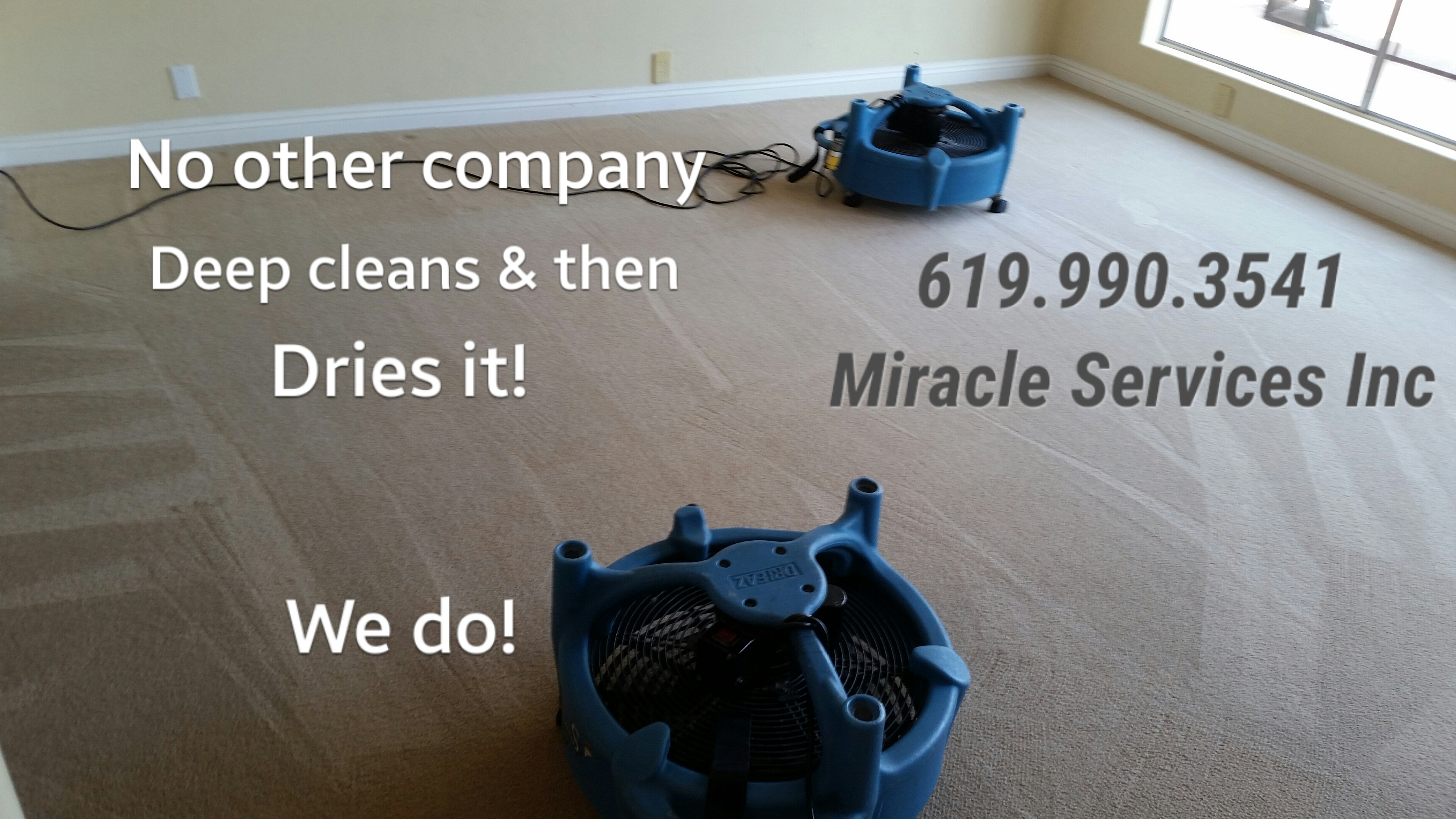 Fast dry carpet cleaning