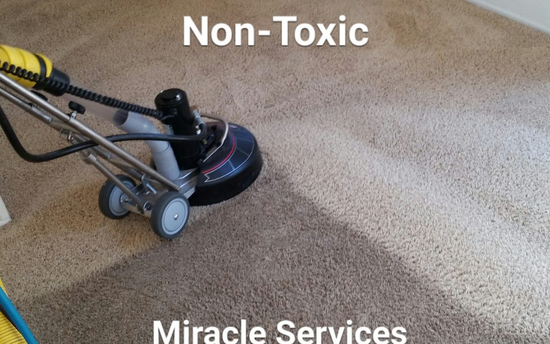 Green Organic Carpet Cleaning in Scripps Ranch