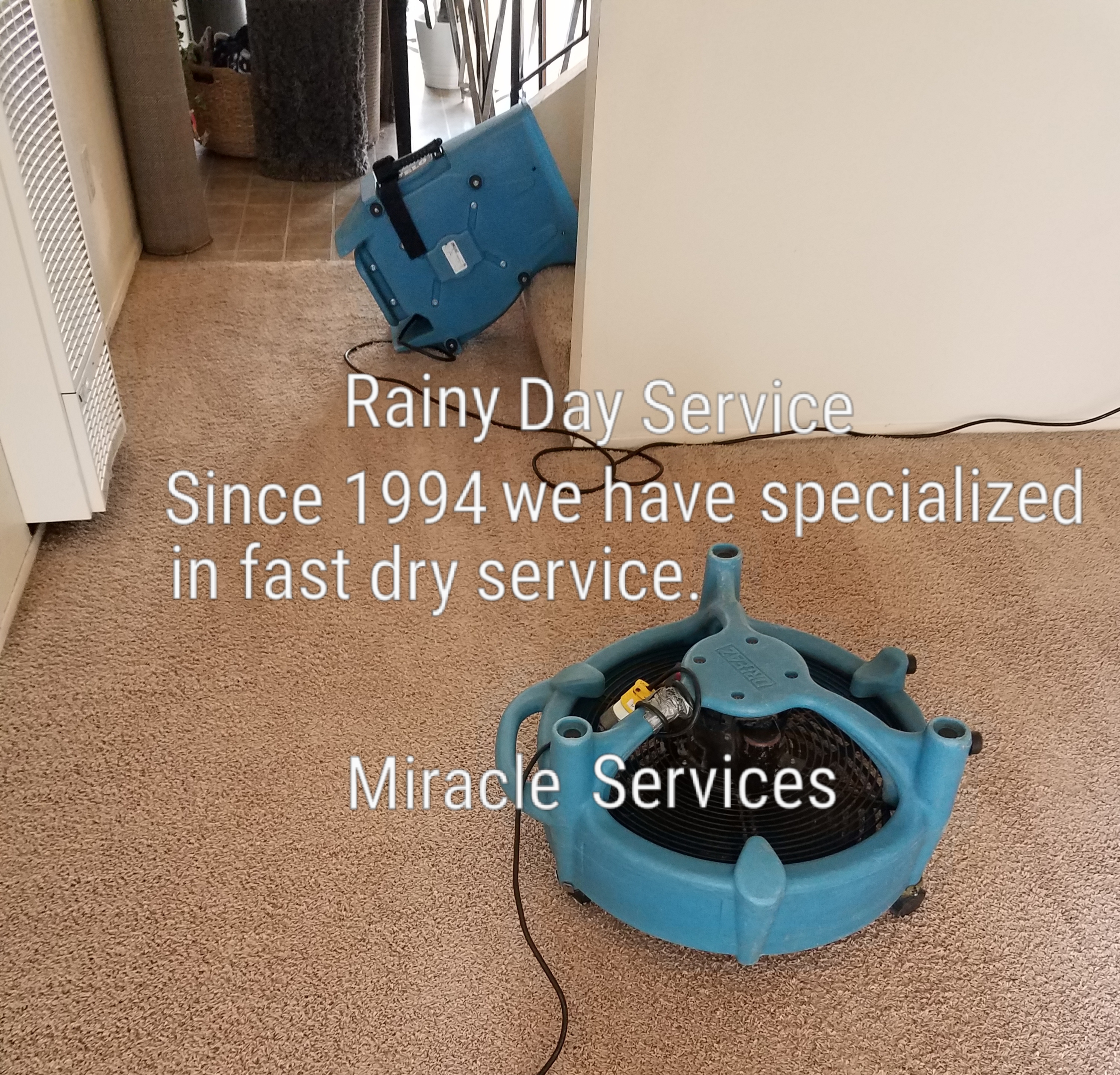 Quick dry carpet cleaning