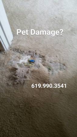 Carpet pet damage repair