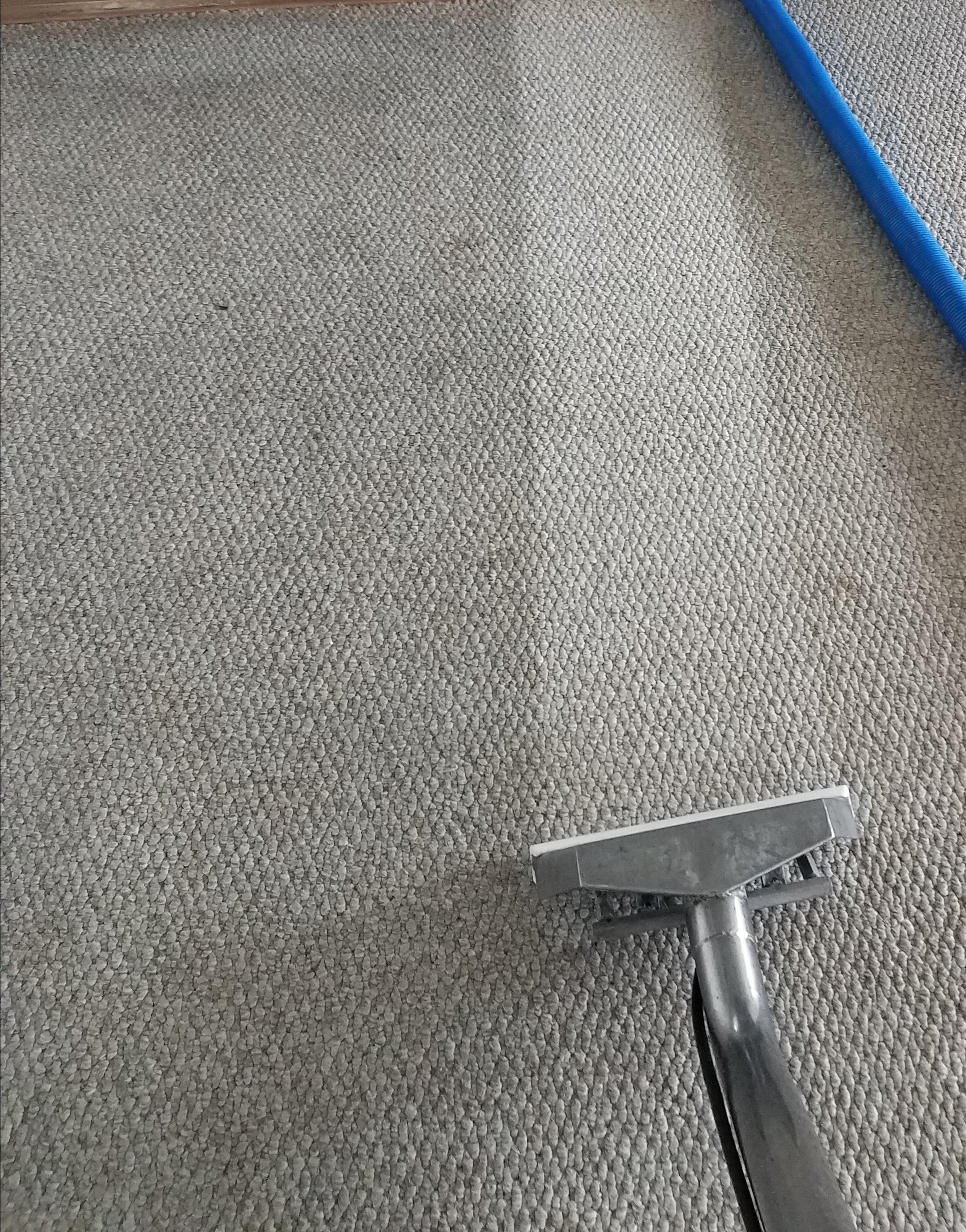 Carpet cleaning wand