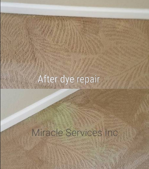 Carpet bleach spot repair