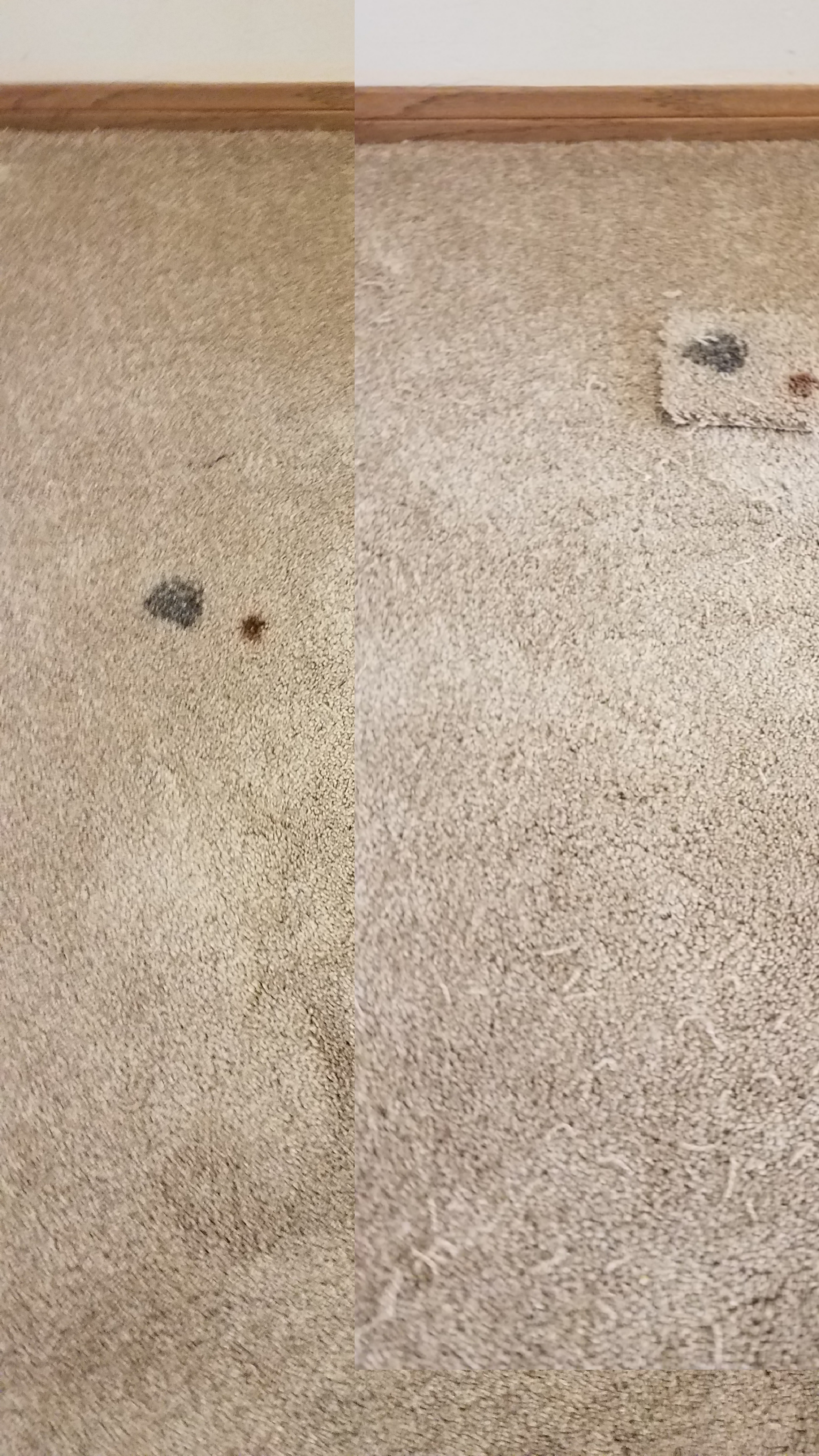 Carpet stains patch