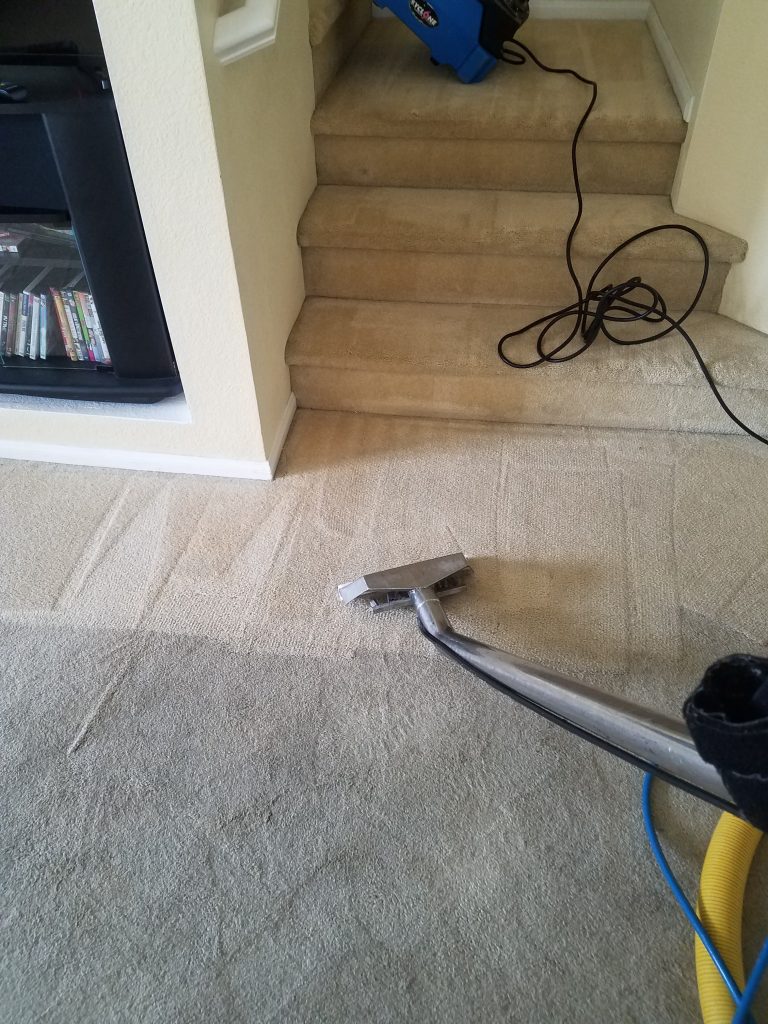 Green carpet cleaning San Diego