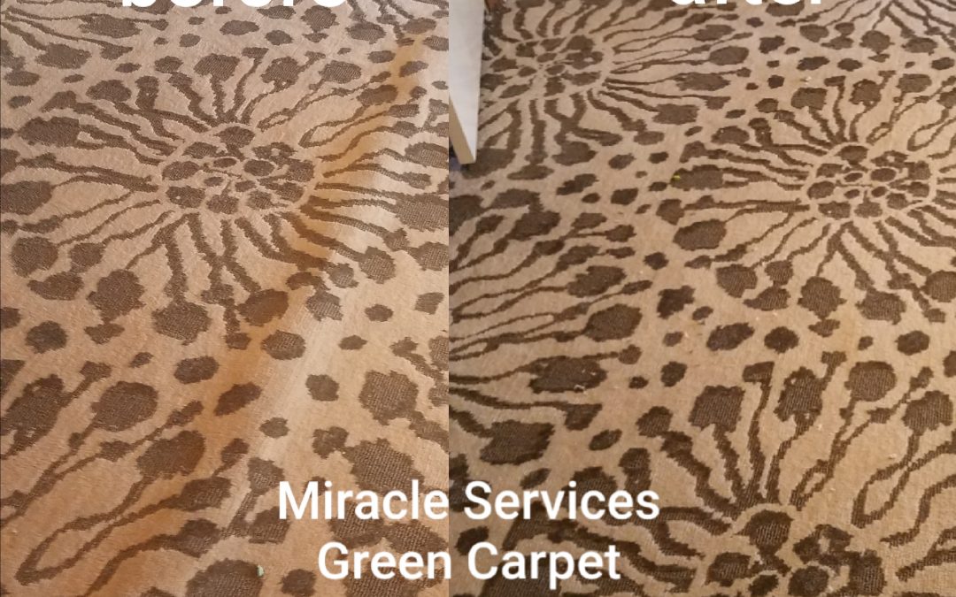 San Diego Carpet Stretching Service | Carpet Repair