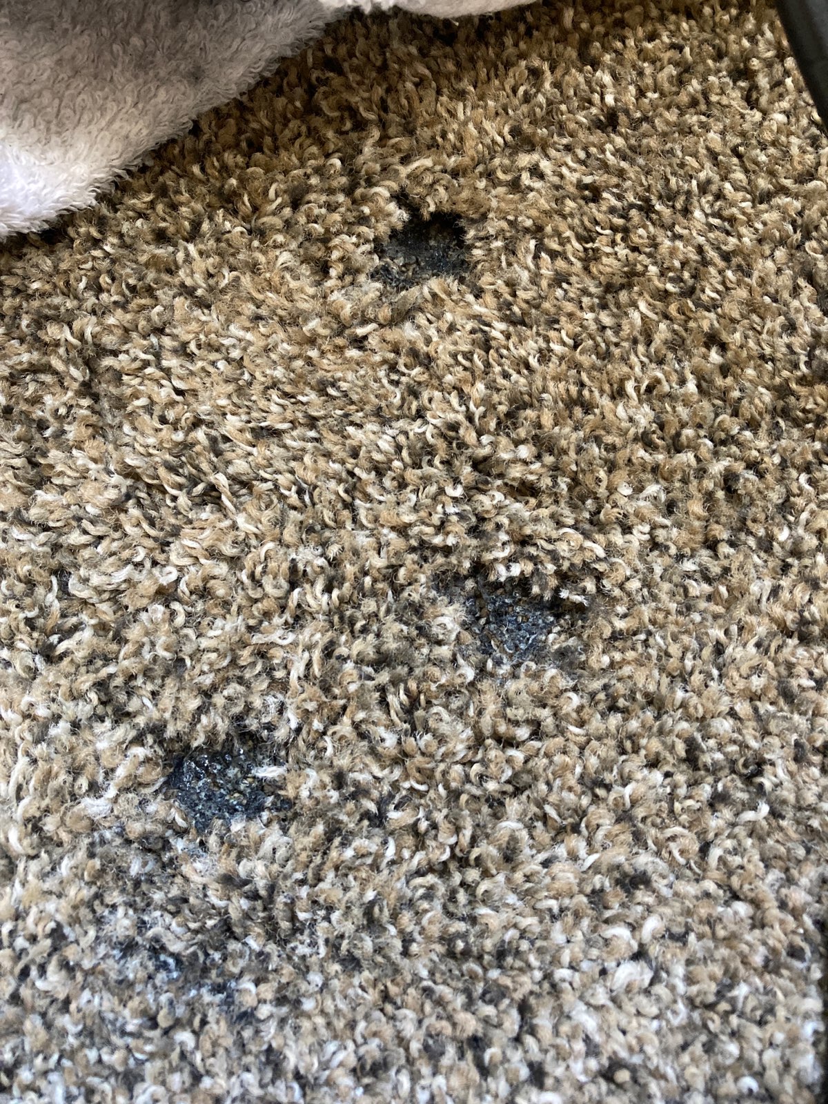 Carpet patch repair boone north carolina